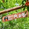 风之谷度假村官方号抖音达人头像