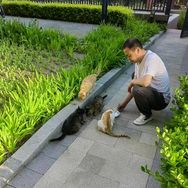 喵叔家抖音达人头像
