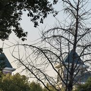 予悠女装抖音达人头像