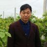 睢阳农科抖音达人头像