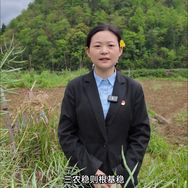 与菜同行抖音达人头像