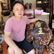 瘤一刀专注小叶紫檀工厂店汉坤紫檀抖音达人头像