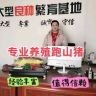 段姐野猪养殖基地抖音达人头像