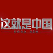 chinanow抖音达人头像