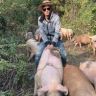 猪猪侠（远安跑山猪）抖音达人头像