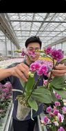 花二代园艺抖音达人头像