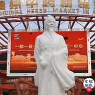 心选养生1抖音达人头像