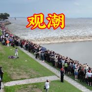 观潮第1现场抖音达人头像