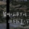 枫叶🍁抖音达人头像