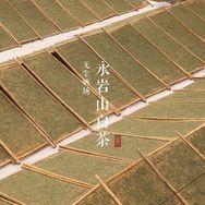永岩山茶业抖音达人头像