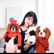 LuLu和她的小猫小狗抖音达人头像