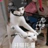 半夜饿醒抖音达人头像