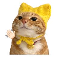 小猫江瓜瓜🐱抖音达人头像