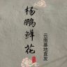 杨鹏鲜花抖音达人头像