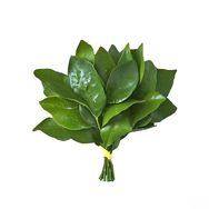 火烧芸拆卡抖音号头像