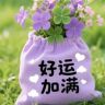 洛资百货店抖音达人头像