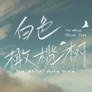 电视剧白色橄榄树抖音达人头像