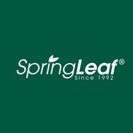 SpringLeaf绿芙海外旗舰店抖音号头像