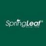 SpringLeaf绿芙海外旗舰店抖音号头像