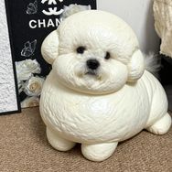 ceo是个窝囊大面包🥯抖音达人头像