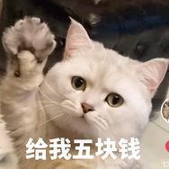 迷你猫张嘟嘟抖音达人头像