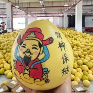 果真好物抖音号头像