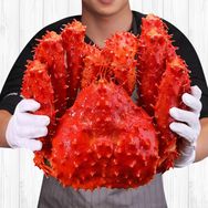 尘中仙聚亦达海鲜专卖店抖音号头像