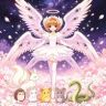 菲菲智天使06抖音达人头像