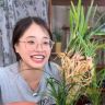 兰屿花卉抖音达人头像