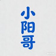 数码小阳哥抖音达人头像