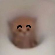 我贴抖音达人头像