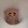 我贴抖音达人头像