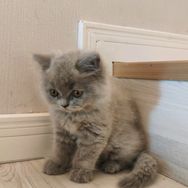 轩美百货供应链抖音号头像