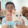 佳伦读外刊（早8:10直播）抖音达人头像