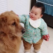 灵犬哈利抖音达人头像