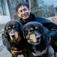 豆豆胖堡堡爱逃跑（骏良切片）抖音达人头像