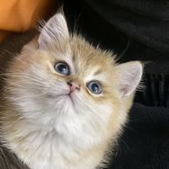 小陈不闲人抖音达人头像
