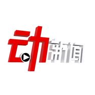 动新闻抖音达人头像