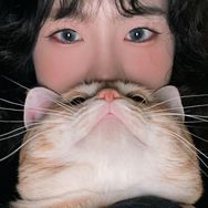 71U邱（猪咪胖虎）抖音达人头像