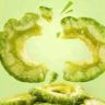食养全方养生坊抖音号头像