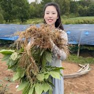 长白山小两口参精选抖音达人头像