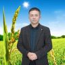 TG-海哥 养猪频道抖音达人头像