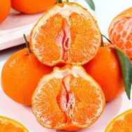 沐林鲜森(耙耙柑)抖音号头像