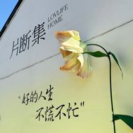平价纸业工厂店抖音号头像