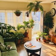 麒麟麓绿植抖音达人头像