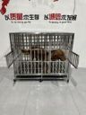 盛冬清宠物用品旗舰店抖音达人头像