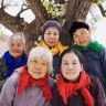 五朵村花抖音达人头像