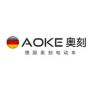 AOKE奥刻鲤奥电动车专卖店抖音达人头像
