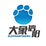 大象信阳抖音达人头像