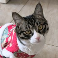 黑头爱干饭😸抖音达人头像